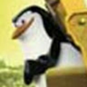 Meet your Posher, Jesse